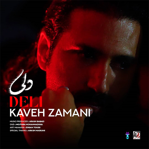 دانلود آهنگ کاوه زمانی به نام دلی